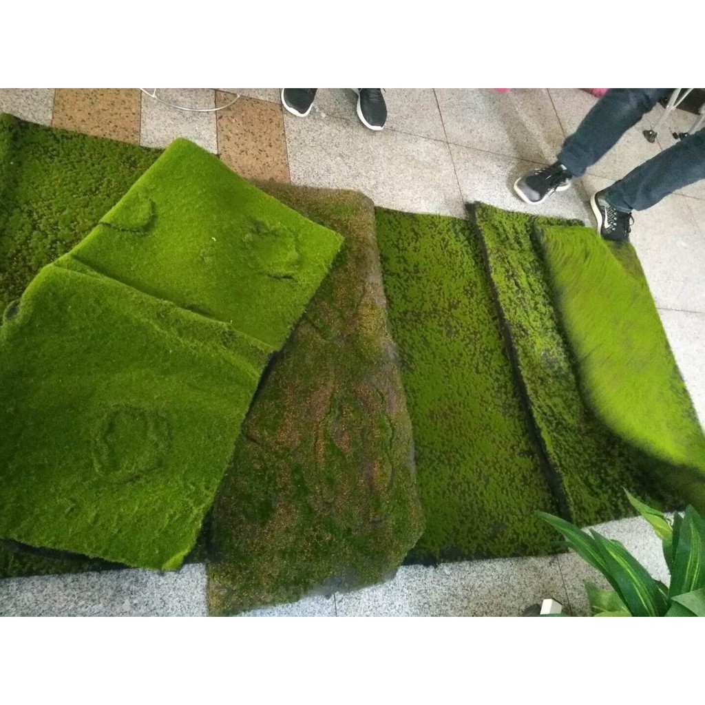 Thảm Rêu Trang Trí