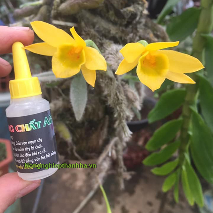 Dưỡng chất AB cho lan - Lọ 10ml