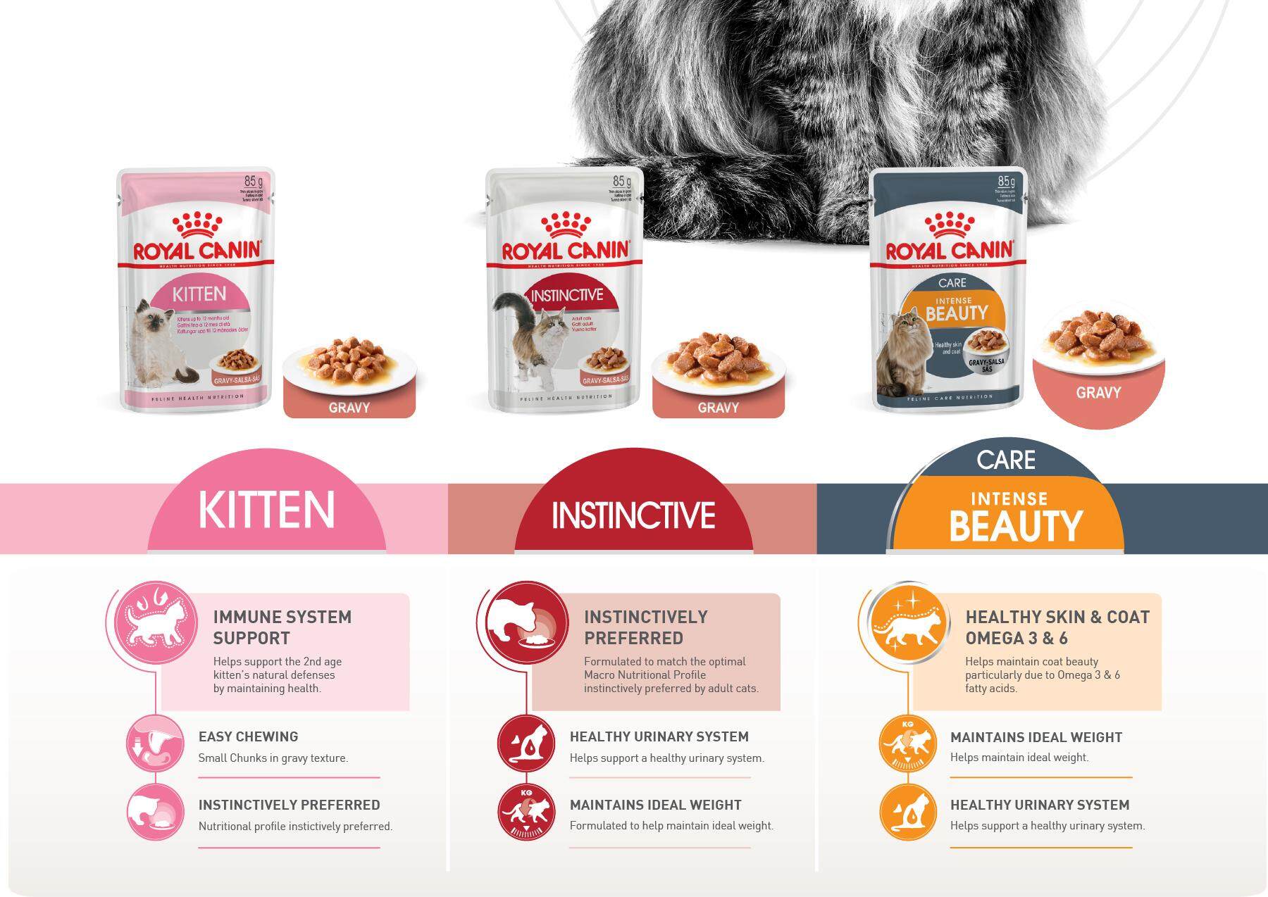 Pate ROYAL CANIN 85g