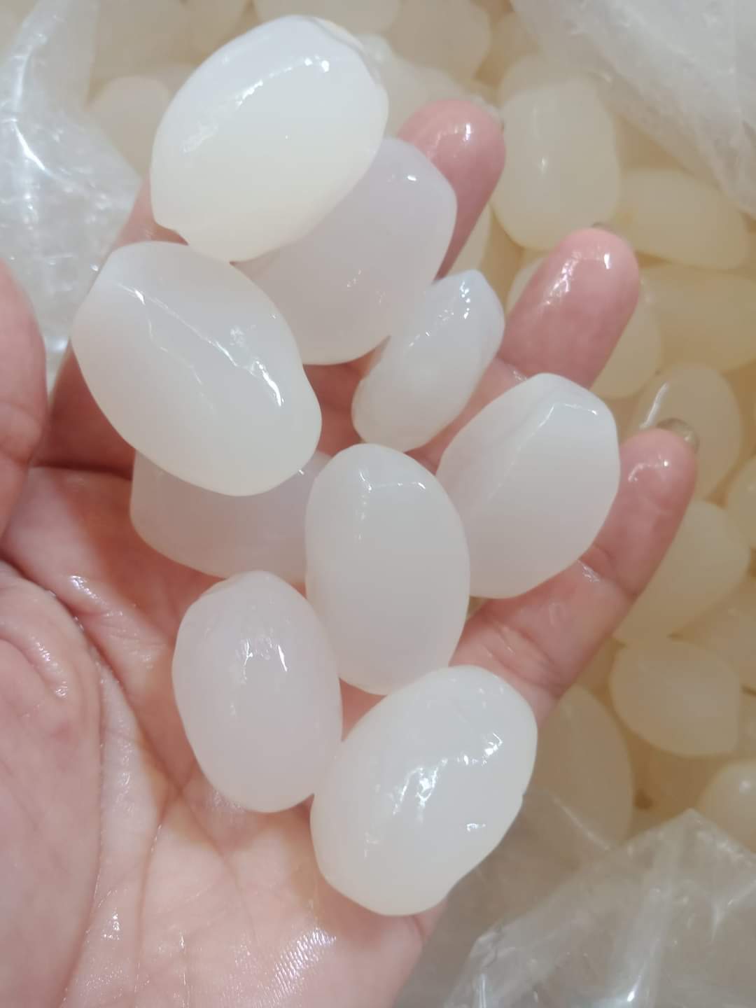 (Mua 1 + quà tặng) 1kg hạt đác NhaTrang dẻo ngon chất lượng