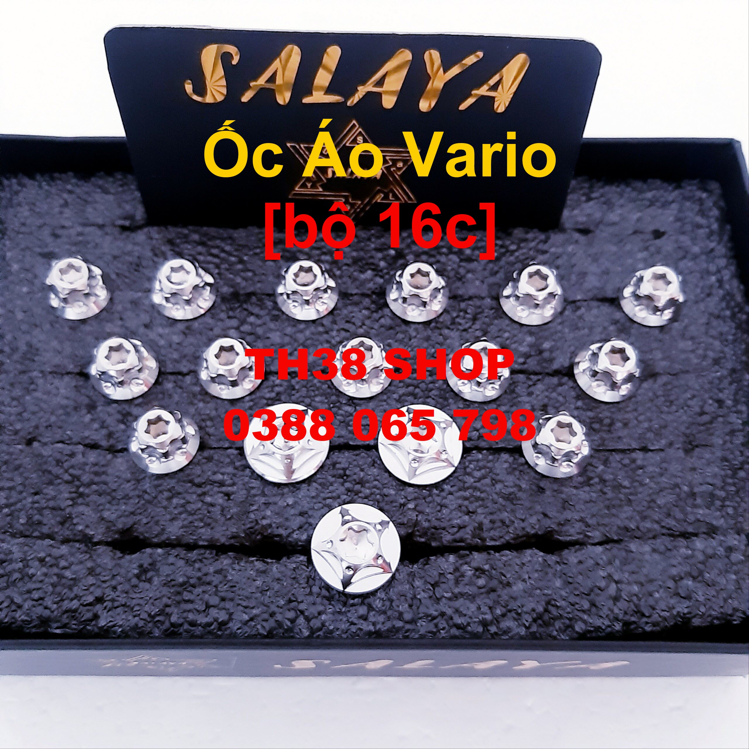 ốc áo salaya vairo 16 con