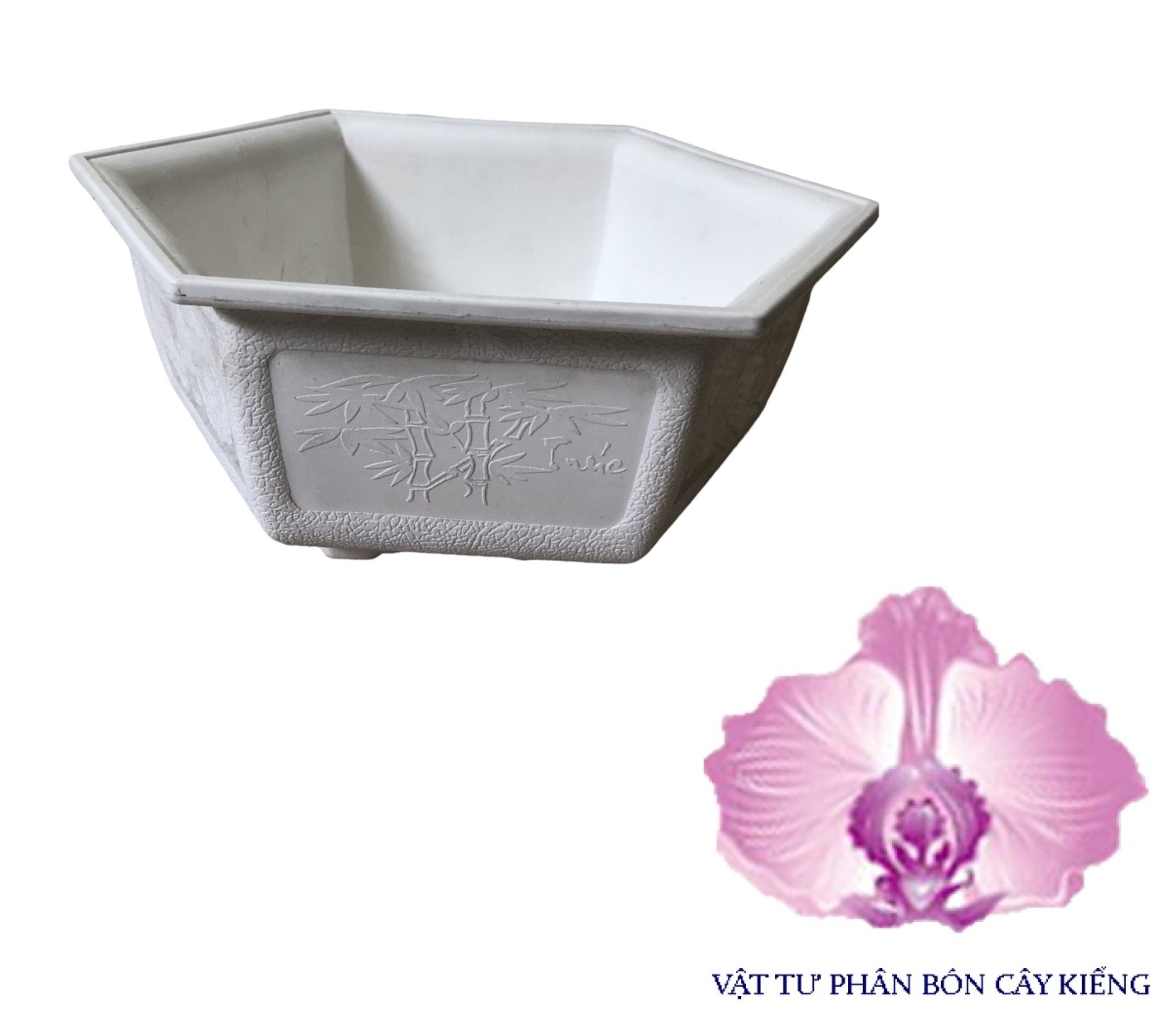 Chậu Lục giác Bonsai Mini - #019D# 21x8cm