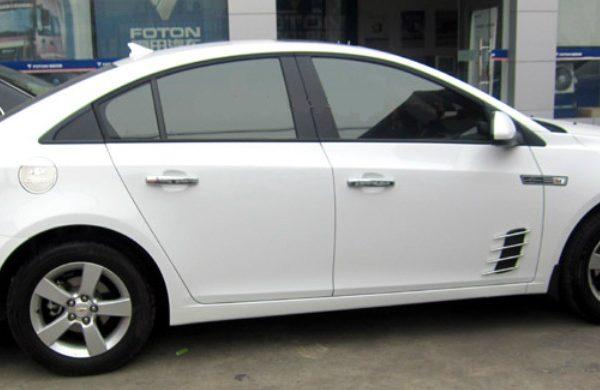 Bộ 2 Miếng Ốp Mang Cá Trang Trí Sườn Xe Ô Tô