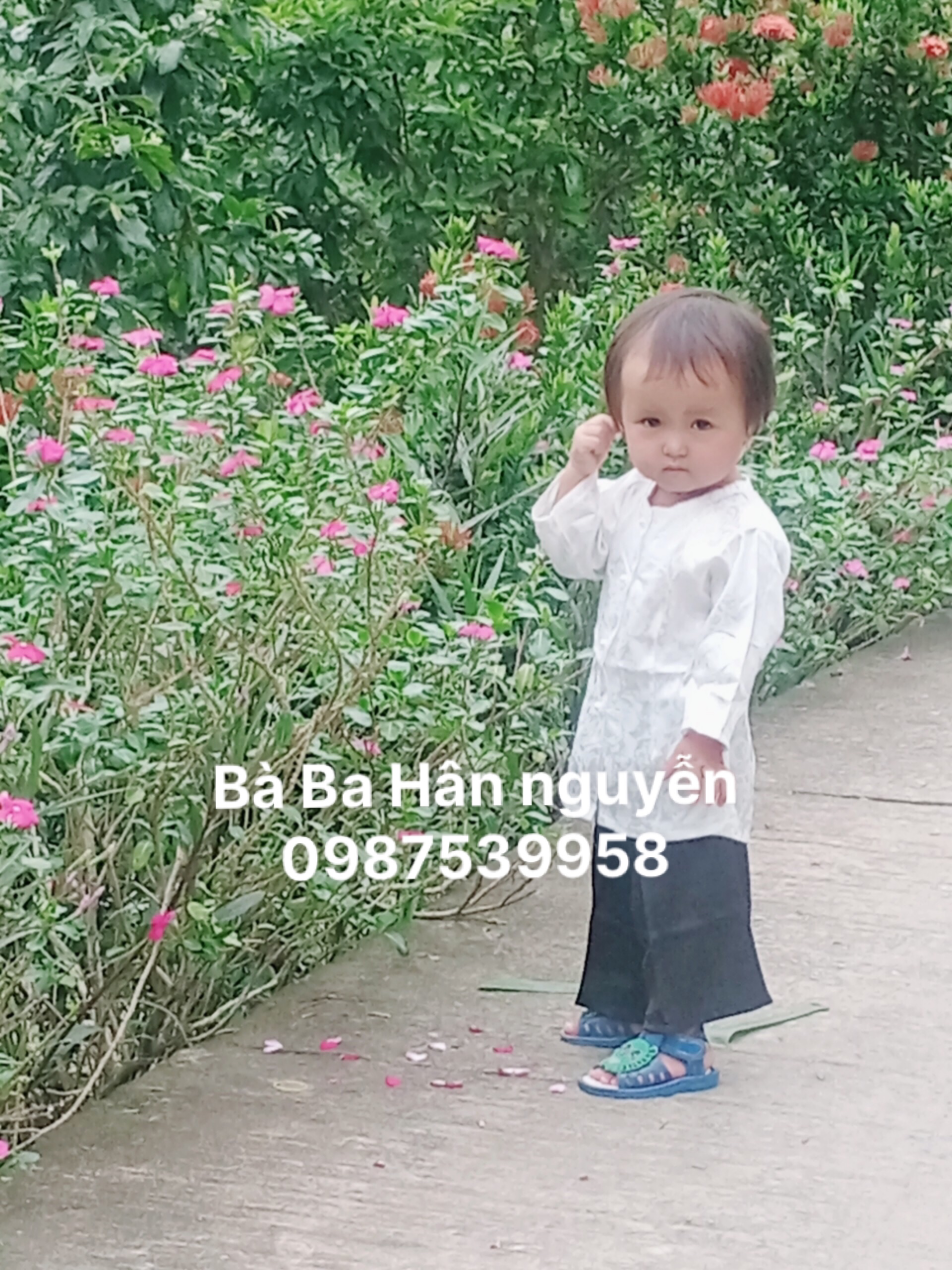 SÉT BÀ BA CHO BÉ YÊU (GẤM)