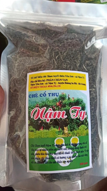 Chè San Tuyết Nậm Ty - Hoàng Su Phì - Hà Giang