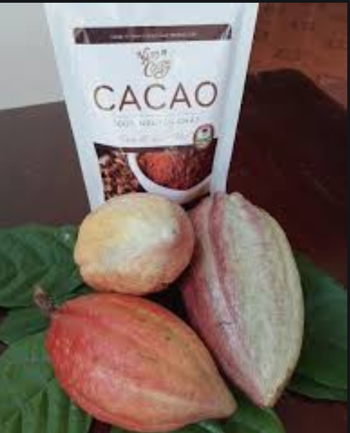 Bột cacao thơm ngon Nam Trường Sơn - 1kg