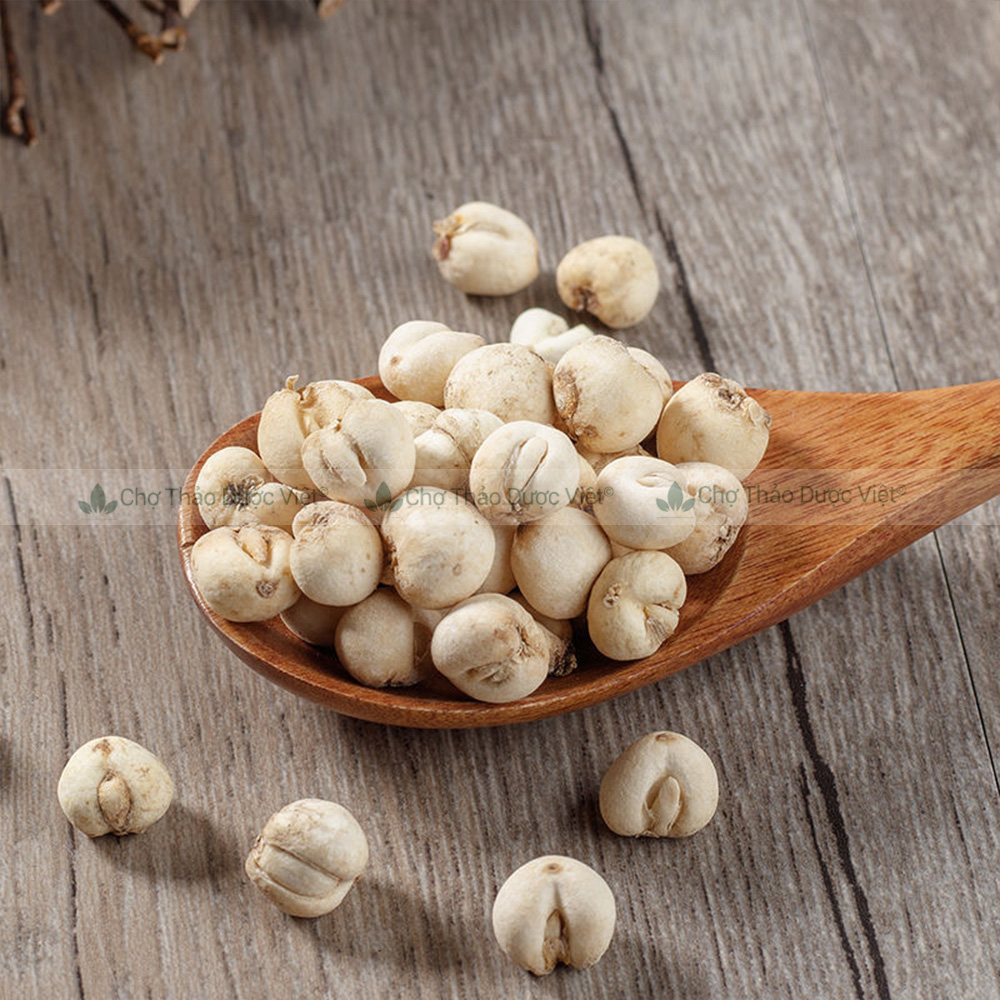 Thổ bối mẫu 100g, khô, sạch, thơm, dùng pha trà, hầm canh, hỗ trợ giảm ho đau họng, tiêu đờm, bổ phế