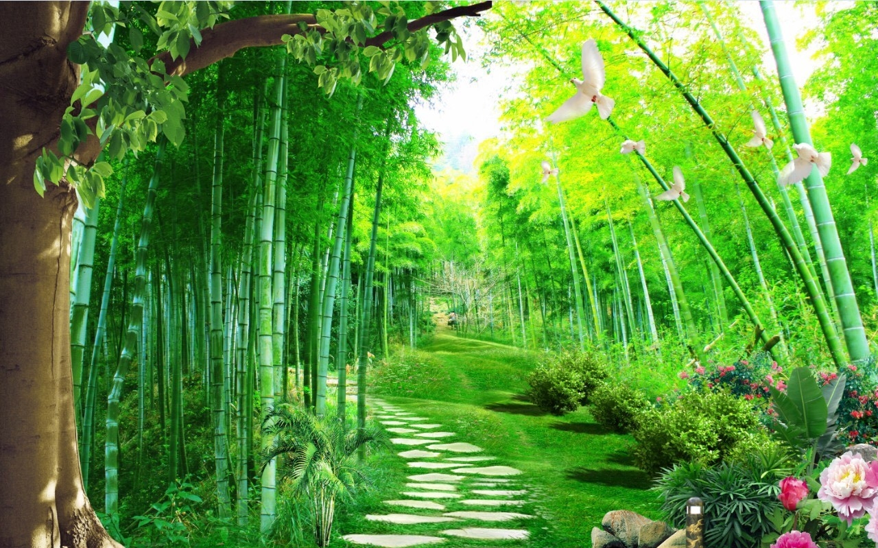 Tranh 3D rừng trúc xanh dán tường | Lazada.vn