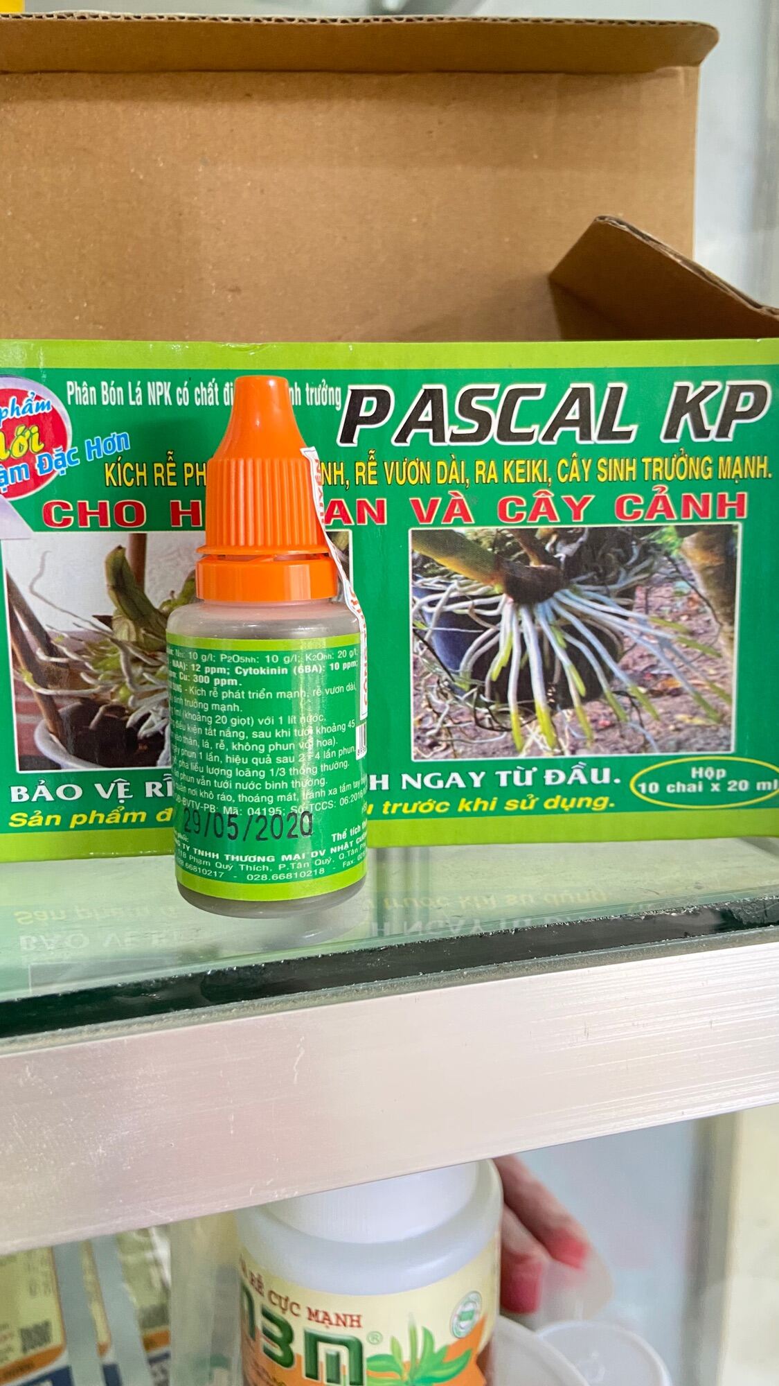 Kích thích ra rễ cho lan và cây cảnh PASCAL KP chai 20ml.