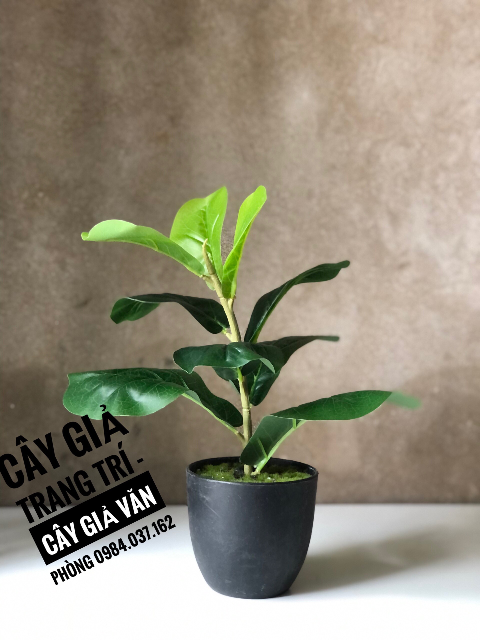 Cây Bàng Singapo Giả Mini Để Bàn- Cây Giả
