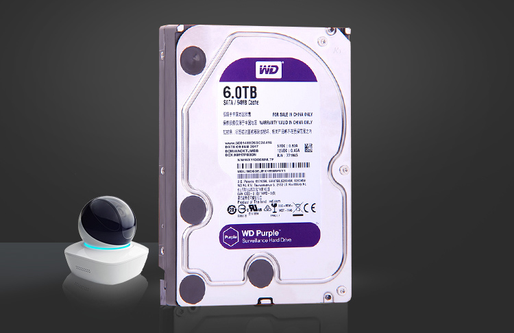 [HCM]Ổ cứng WD Purple 6TB WD62PURZ Model 2021