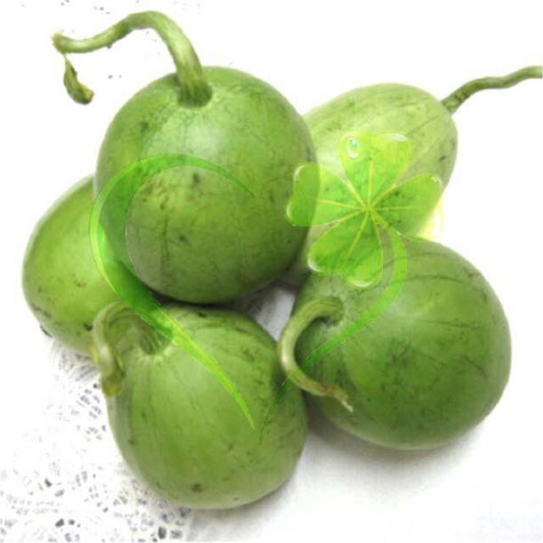 Hạt giống dưa hấu nụ, dưa canh - gói 5 gram
