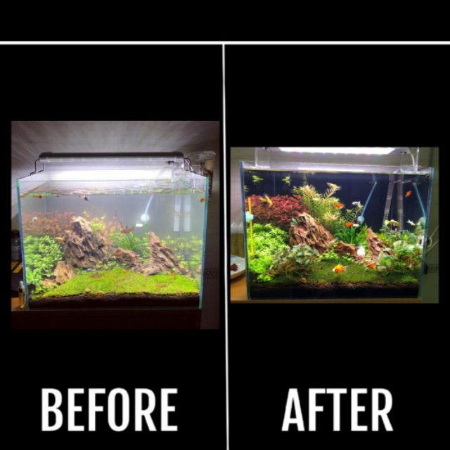 Đèn LED Week Raptor WRGB - D600 - (Hồ thủy sinh 60-70cm )