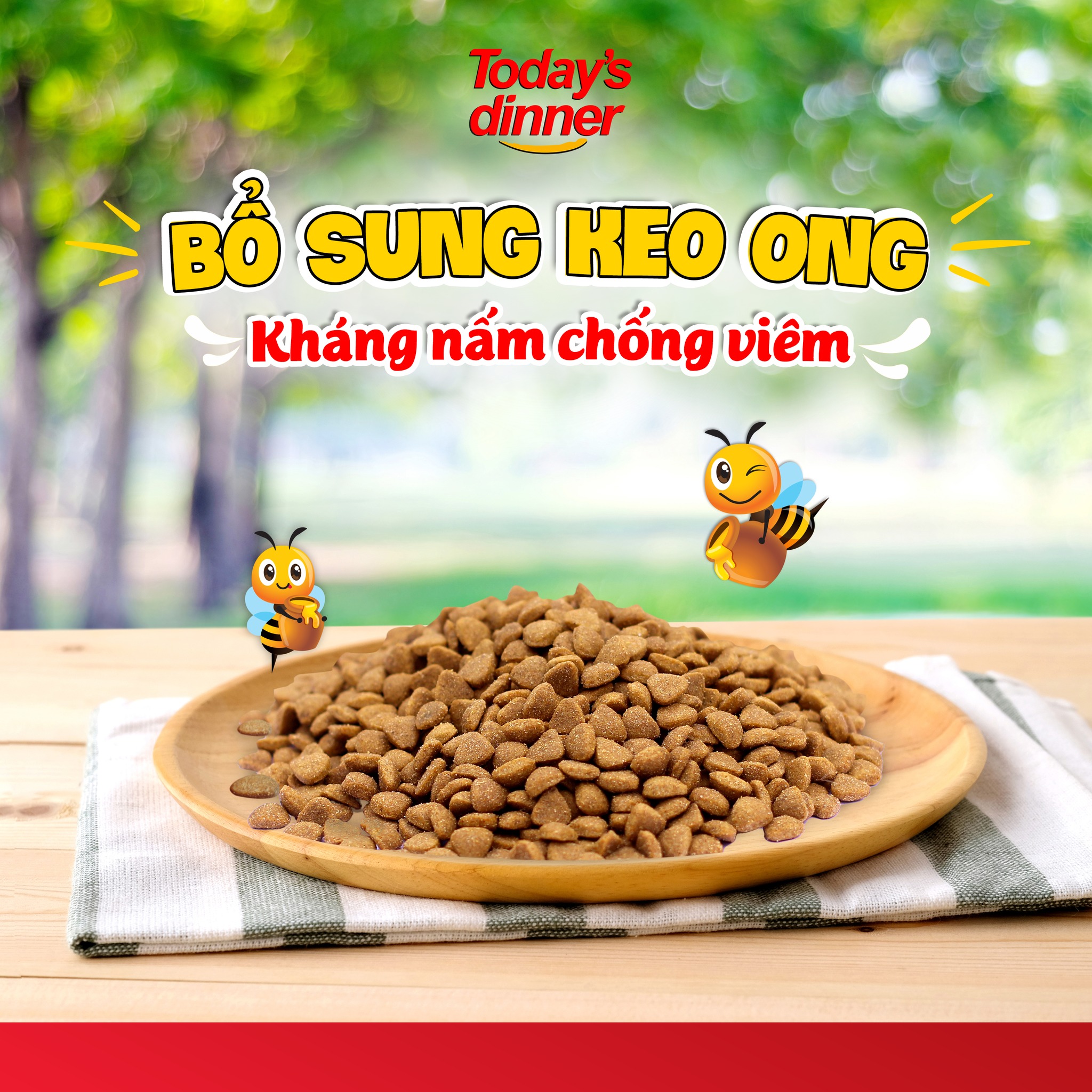 TODAY'S DINNER - HẠT THỨC ĂN CHO MÈO MỌI LỨA TUỔI 40g
