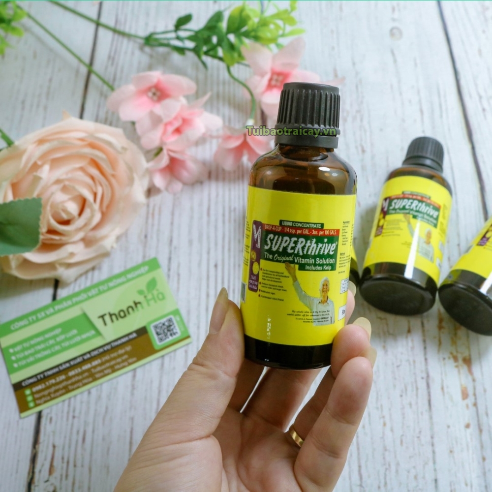 Superthrive Hormon tăng trưởng cho cây trồng