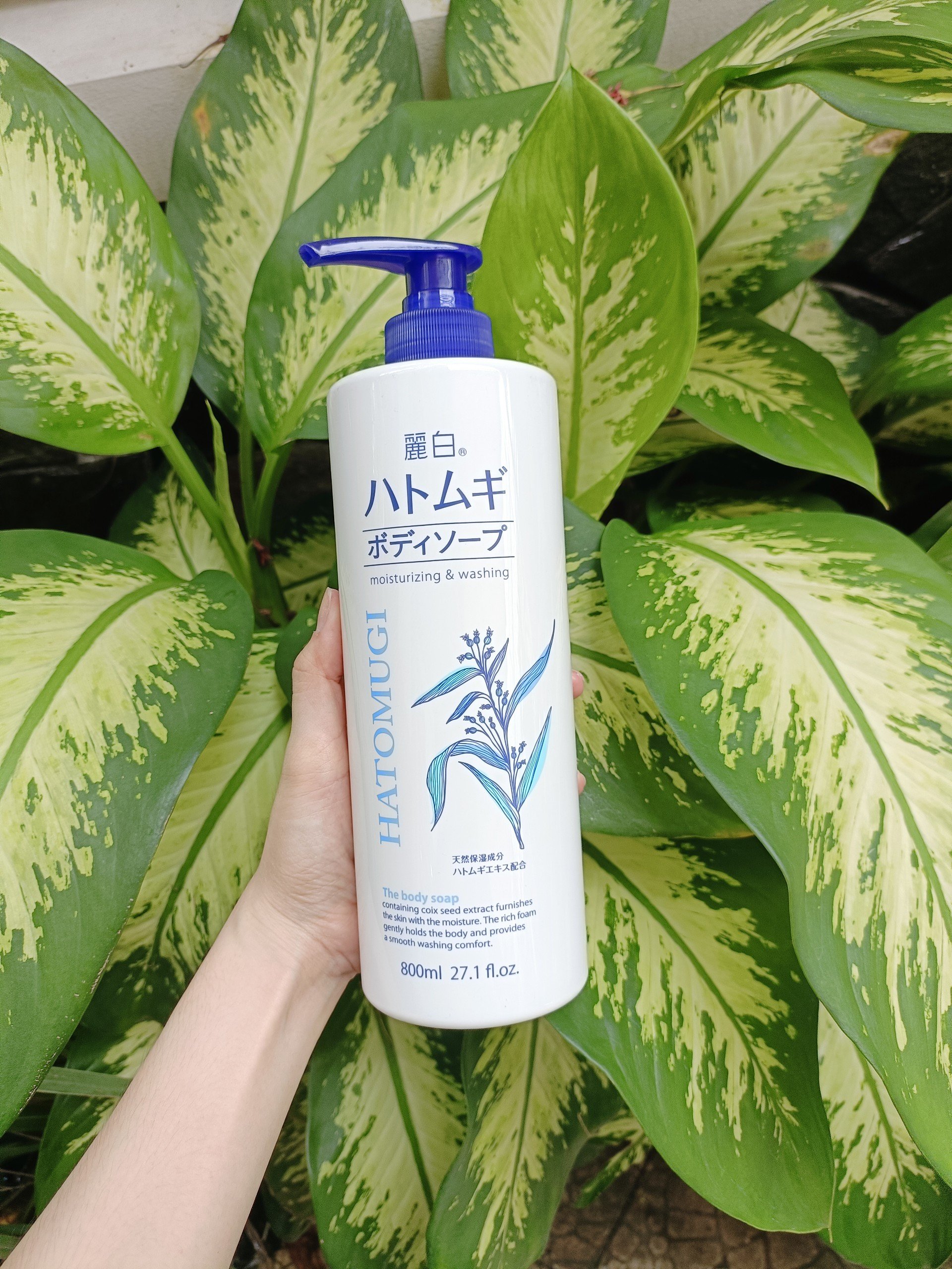 Sữa tắm Hatomugi 600ML - 800ML Nhật Bản