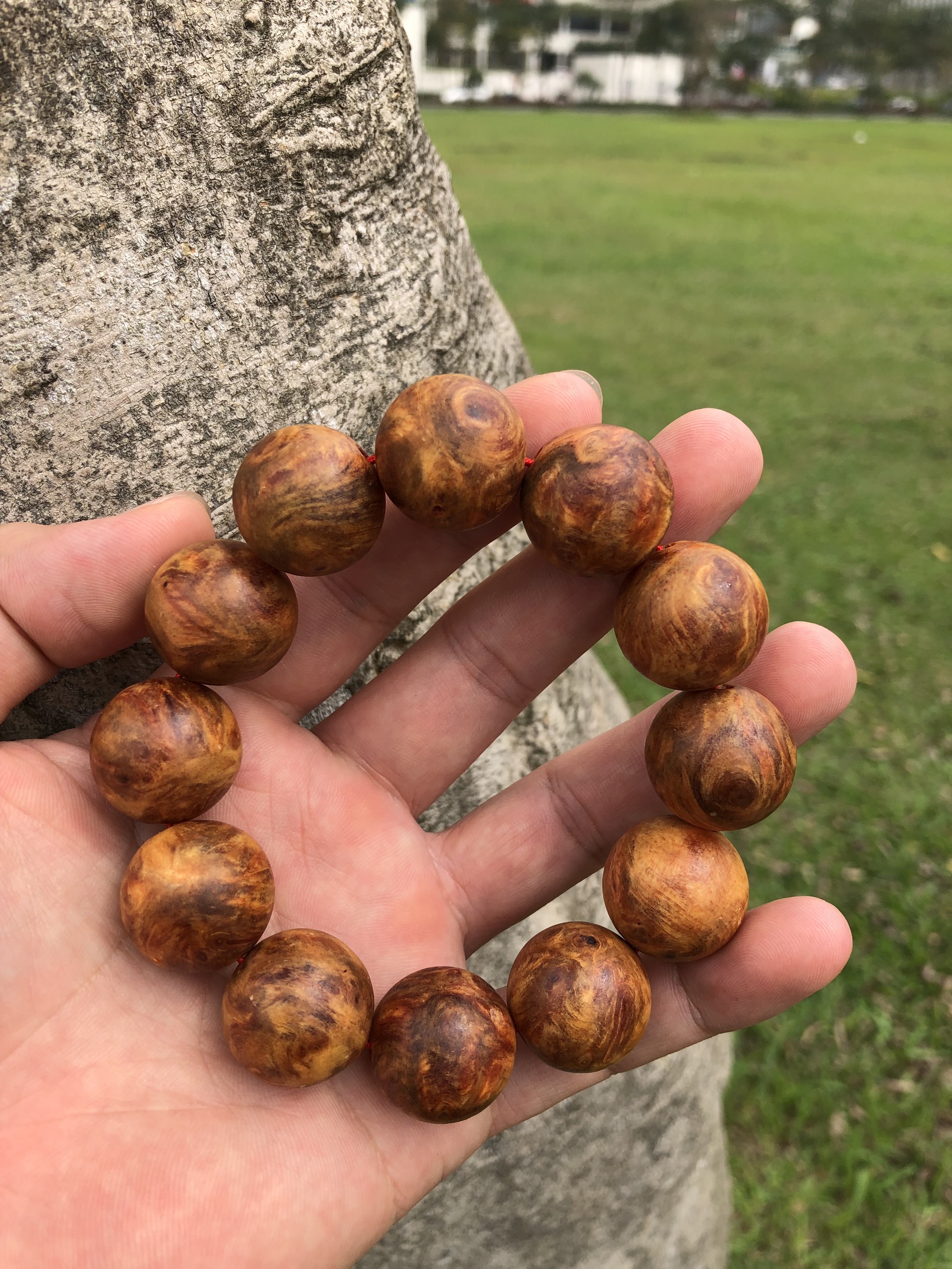 Vòng phong thuỷ Nu Hoa Huyết Long size 20mm