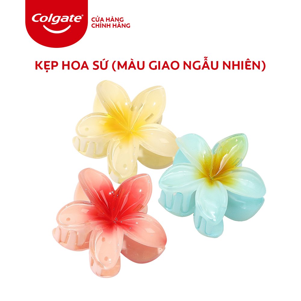 [HB Gift] Kẹp hoa sứ