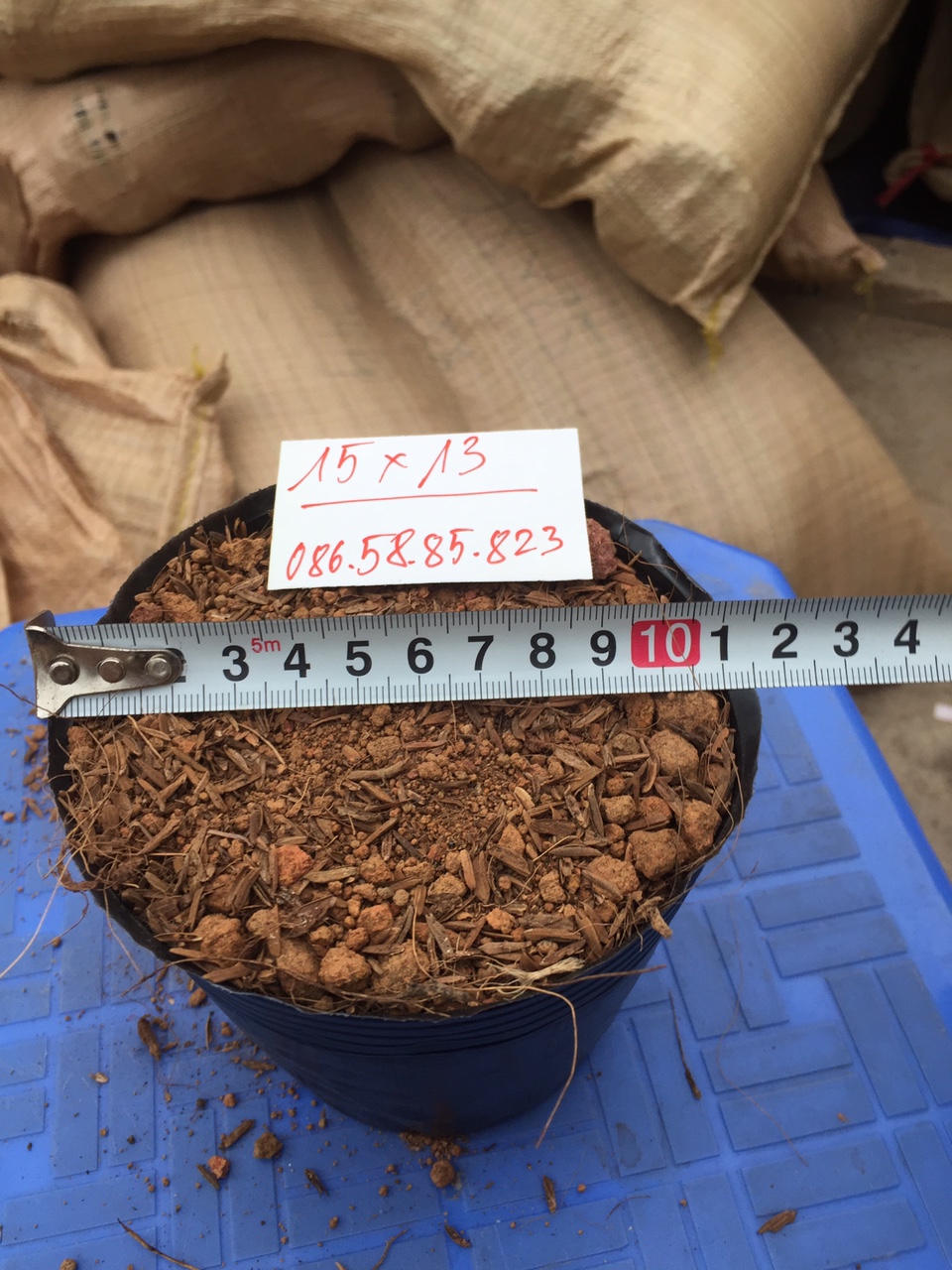 Set    5kg Bịch bầu ươm cây cỡ 15x13( #phanbon, #caycanh, #vattu)