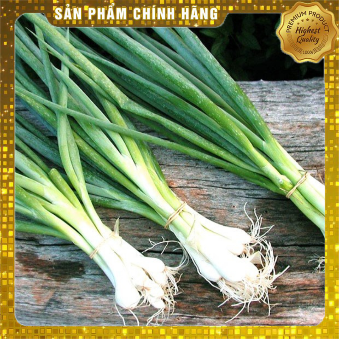 2gr_Hạt Giống Hành Lá Trắng (nảy mầm siêu chuẩn)