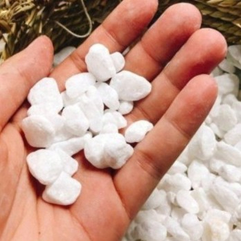 500g Đá Sỏi Trắng Cao Cấp Trồng Chậu Cây Cảnh, Trang Trí Bể Cá, Thủy Sinh