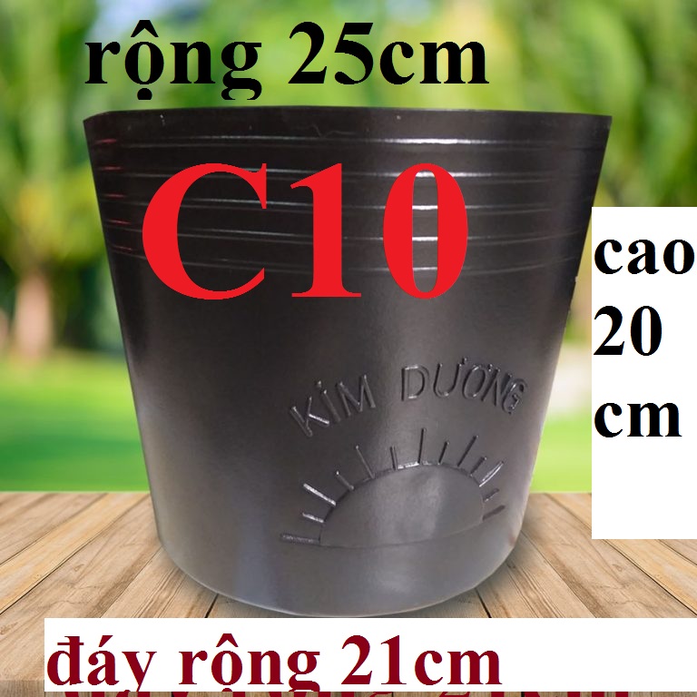 [KHÔNG LỖ][DÀY & BỀN] COMBO 5 CÁI CHẬU NHỰA ĐEN C10 (C25) TRỒNG CÂY HIỆU KIM DƯƠNG TRỒNG HOA SÚNG NUÔI CÁ