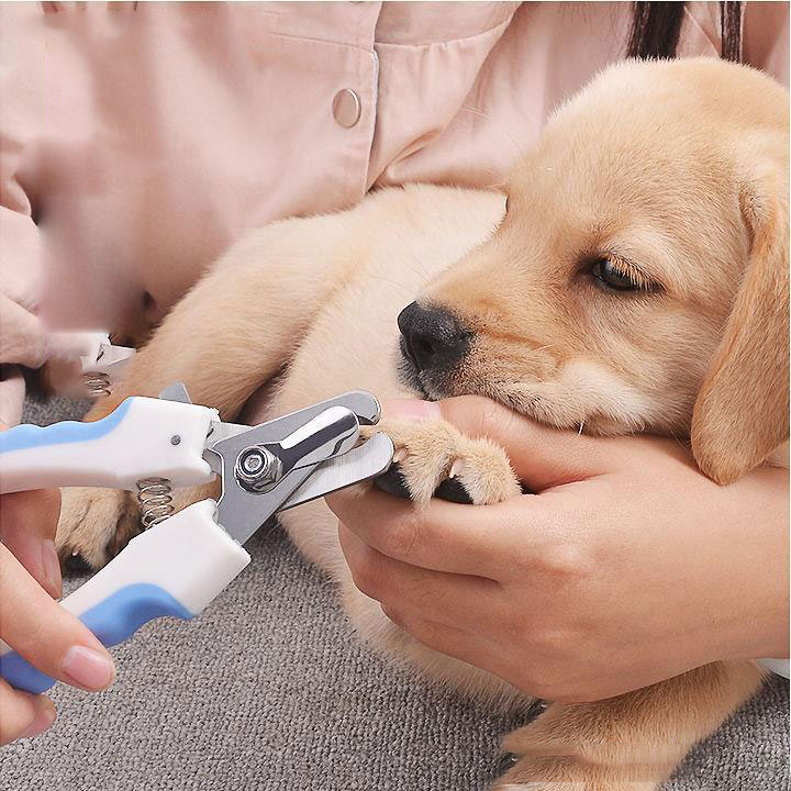 Kìm cắt móng chân cho thú cưng + Dũa móng chân