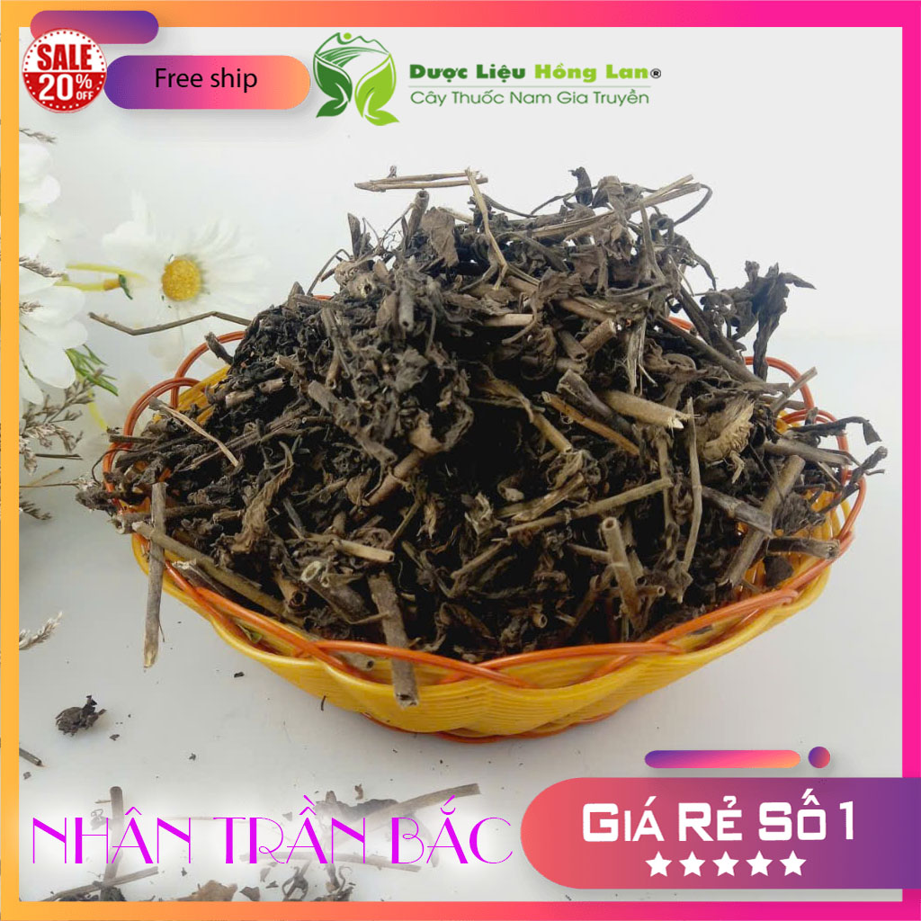 [FreeshipMAX] Cây Nhân Trần Khô 1kg