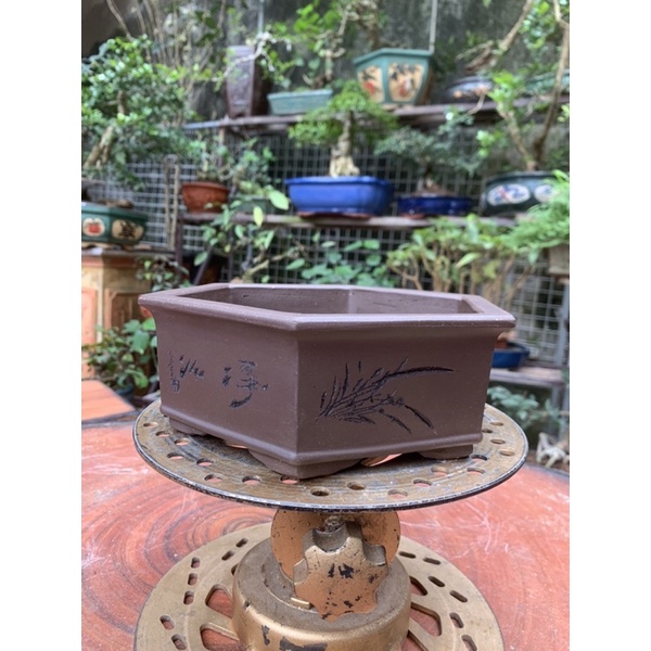 Chậu gốm tàu chậu trồng cây bonsai mini
