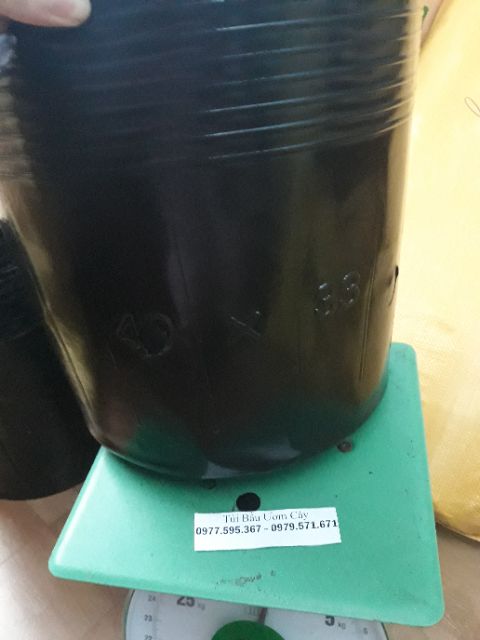 Bầu ươm cây 40x 33 một kg 12 bầu