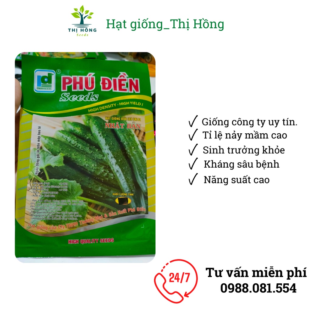Hạt giống dưa leo lai F1 Nhật Bản 1g