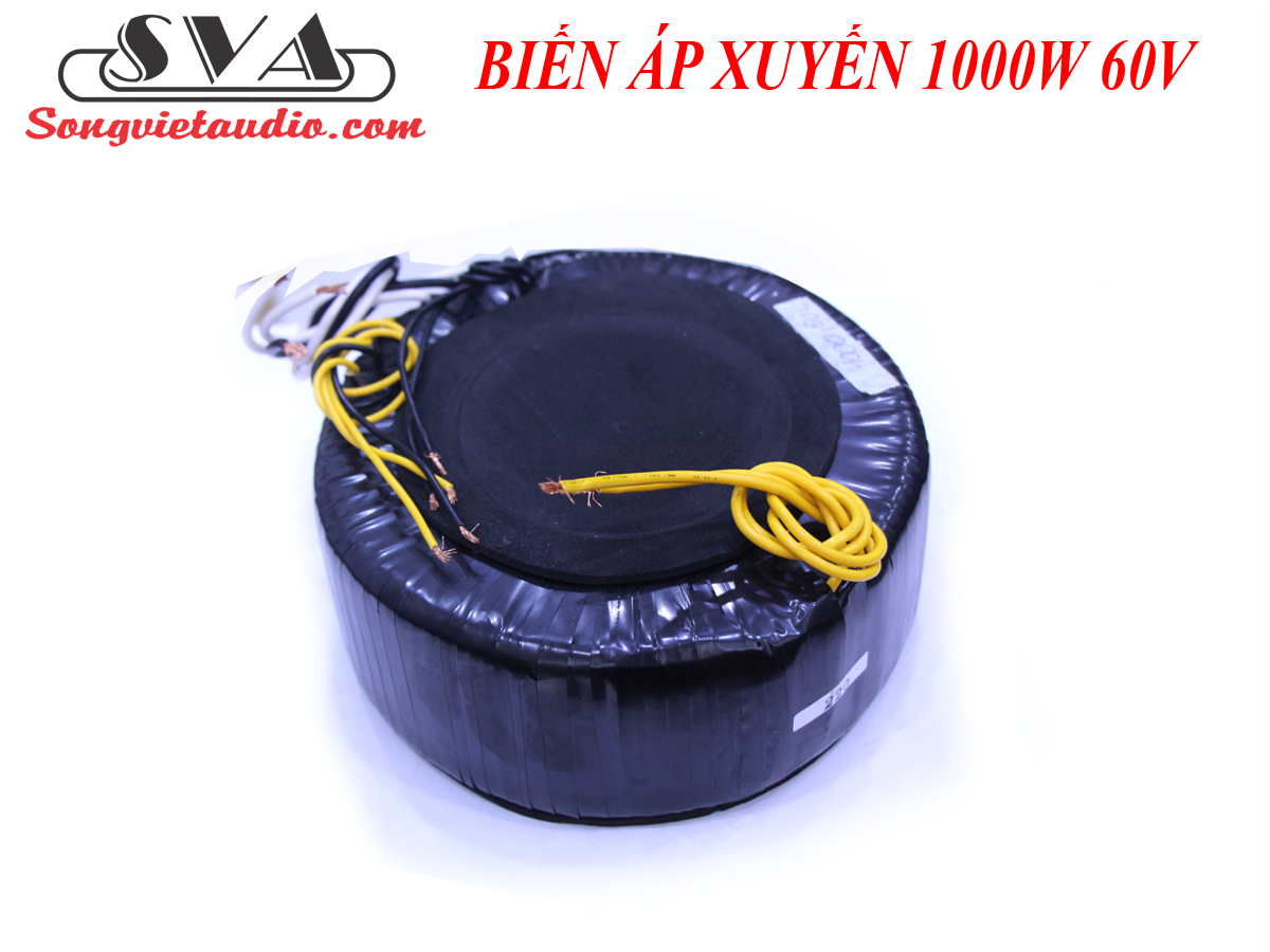 BIẾN ÁP XUYẾN 1000W 60V