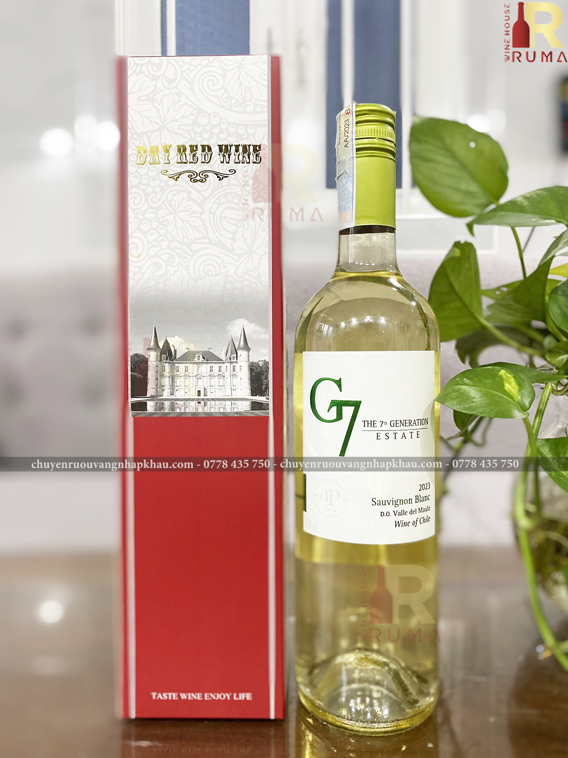 Vang Chile G7 Sauvignon Blanc