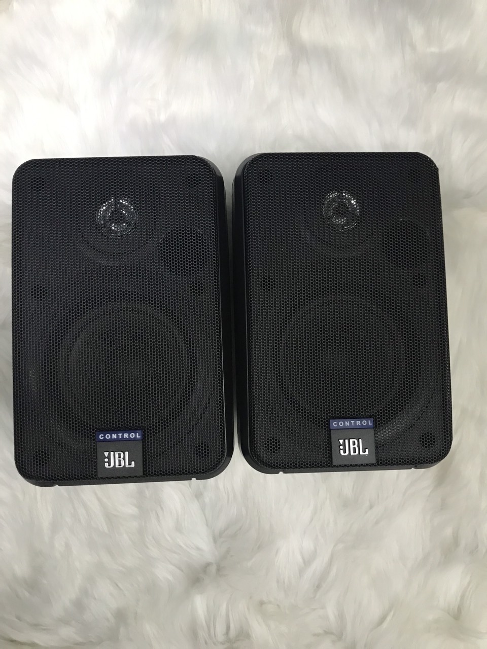 Loa treo tường ubl
