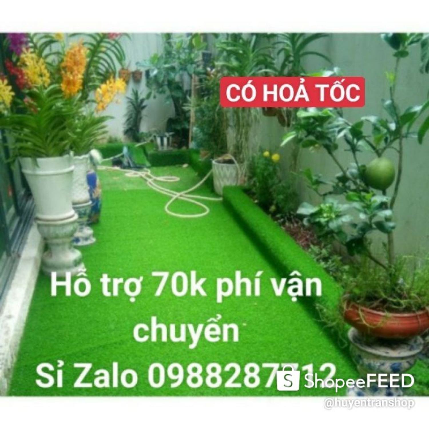 Combo 10m2 thảm cỏ 1.5cm loại đẹp