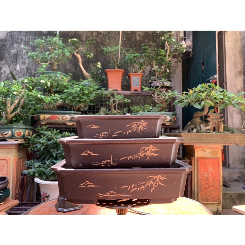 bộ 3 chậu chữ nhật khắc lá trúc