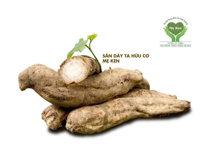 [HCM]BỘT SẮN DÂY TƯƠI SẠCH NGUYÊN CHẤT MẸ KEN