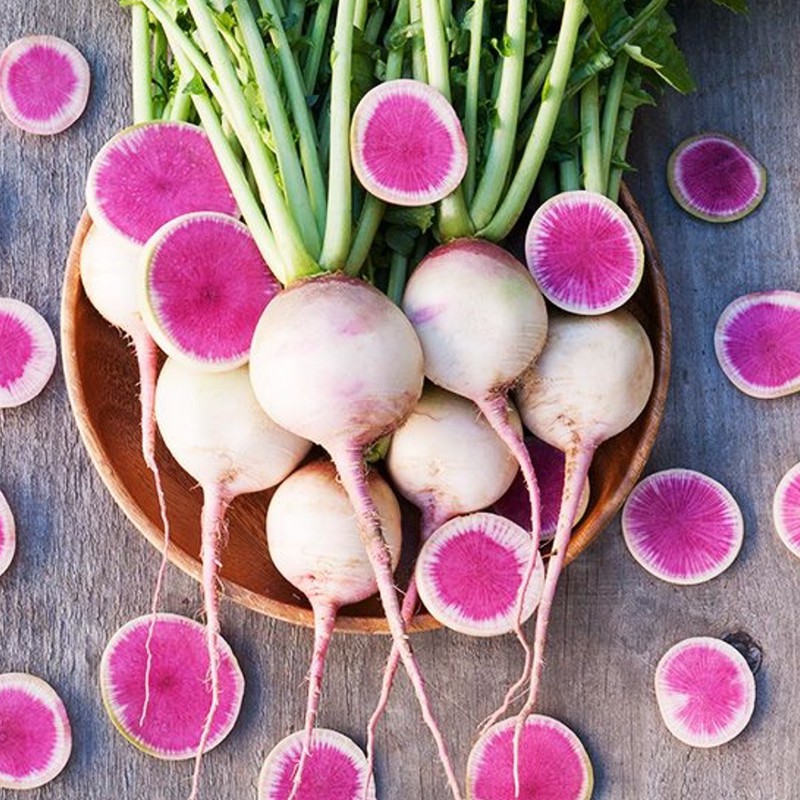 Hạt giống củ cải ruột đỏ