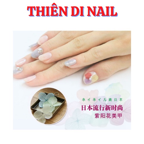 Hoa khô lụa cánh to trang trí móng, hoa khô lụa ẩn gel/bột MOON NAIL