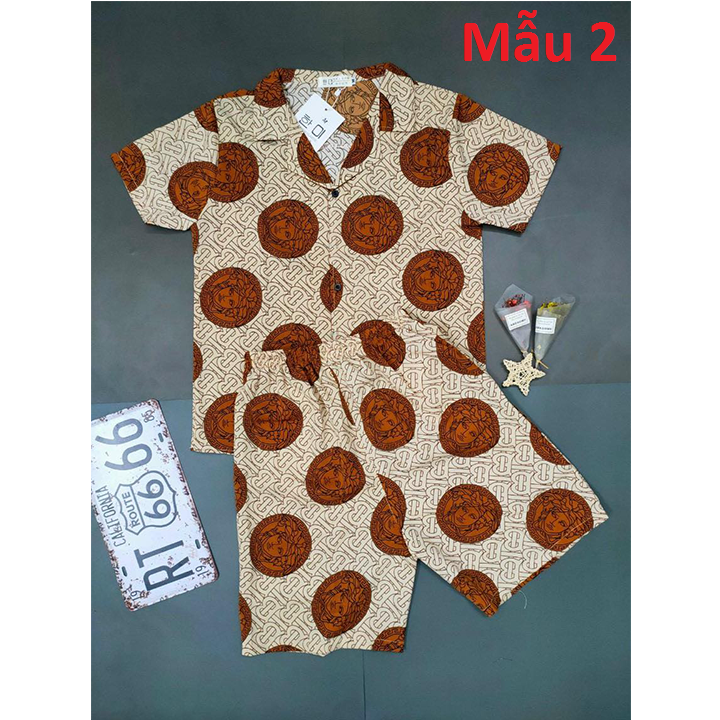 Bộ Đồ Pijama Lụa, Bộ Đồ Ngủ Lụa Cộc Tay Họa Tiết Cực Đẹp