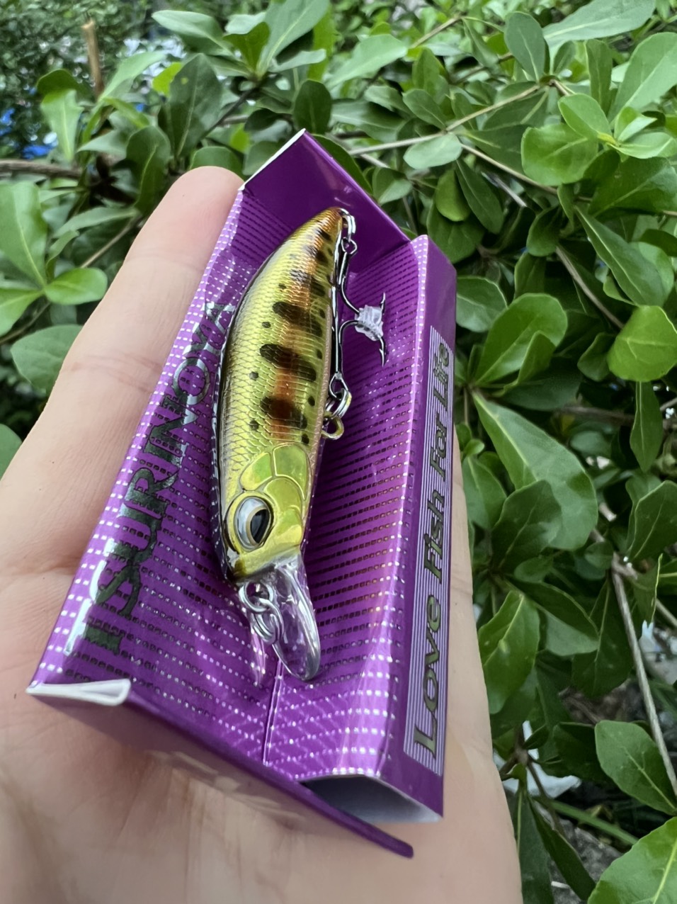 MỒI LURE DW67 CHUYÊN CÂU CÁ CHẼM, MĂNG