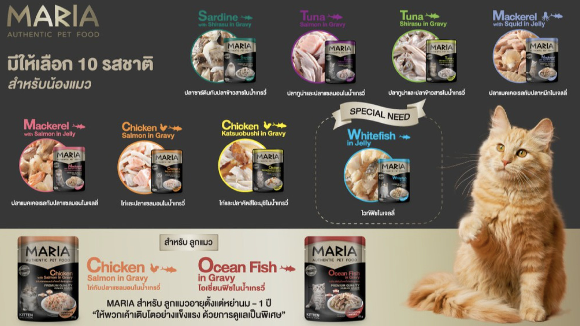 MARIA - PATE MÈO CAO CẤP TỪ THÁI LAN Gói 70g