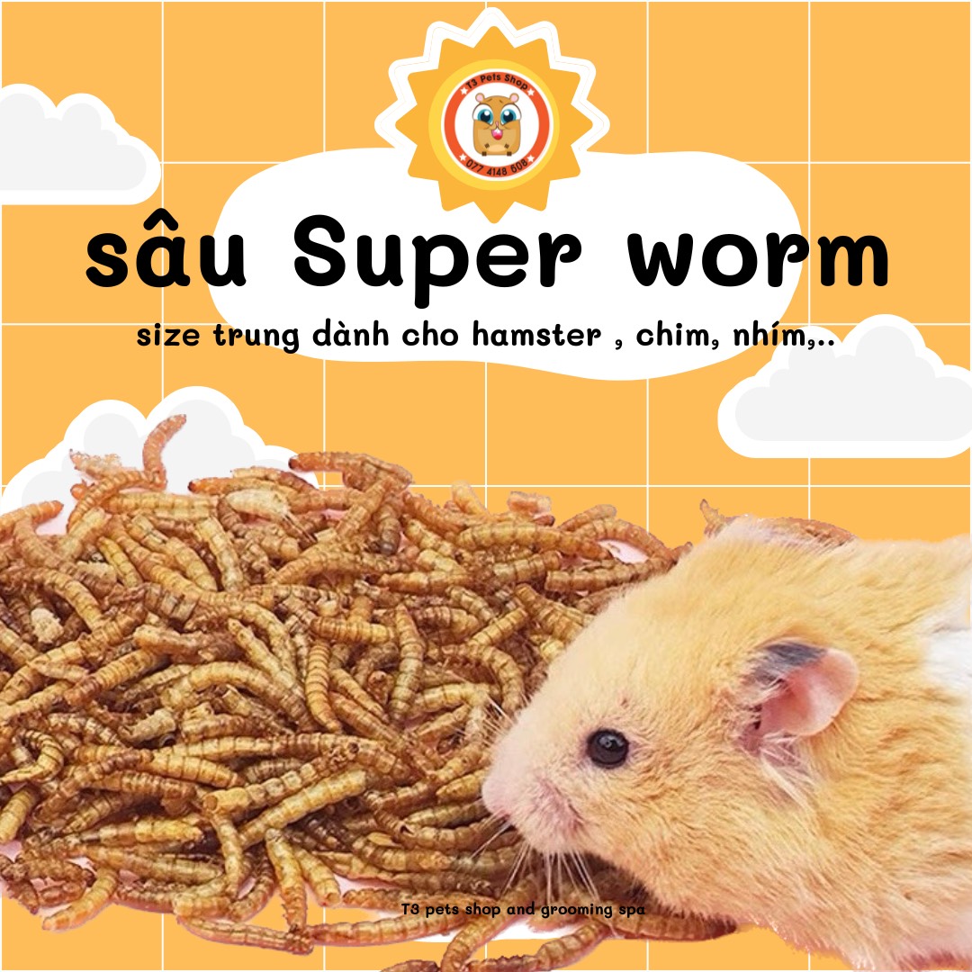 Sâu Super worm size trung dành cho hamster , chim, nhím,..