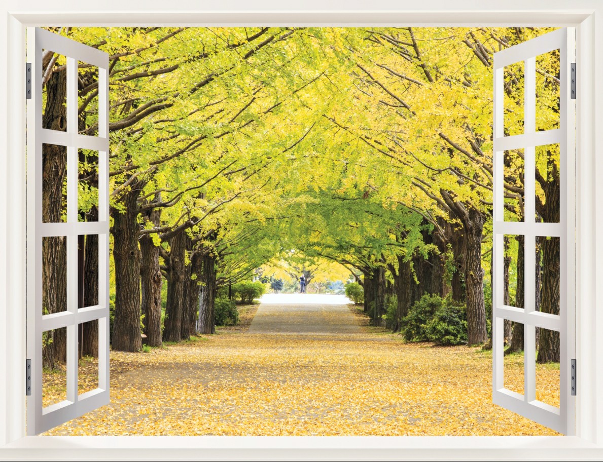 Tranh dán tường 3d cửa sổ phong cảnh thiên nhiên trang trí phòng khách phòng ngủ giá rẻ đẹp chất liệu decal pp keo sẵn bóc dán PA