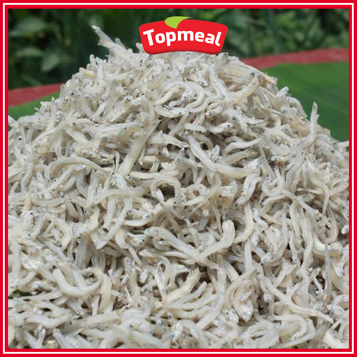 HCM - Cá cơm mờm (500g) - [Giao nhanh TPHCM]