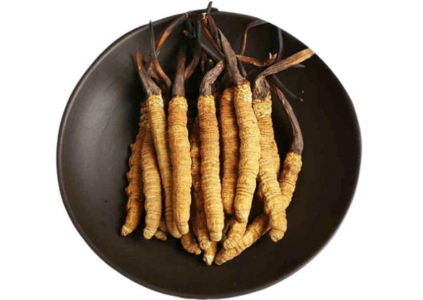 1 Thùng Nước đông trùng hạ thảo Hàn Quốc (10 hộp x 100 chai x 100ml)