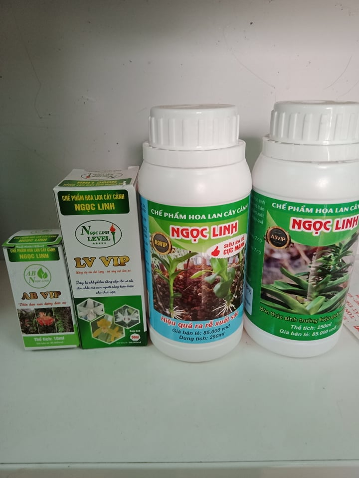 Bộ chăm var Chế Phẩm Ngọc Linh