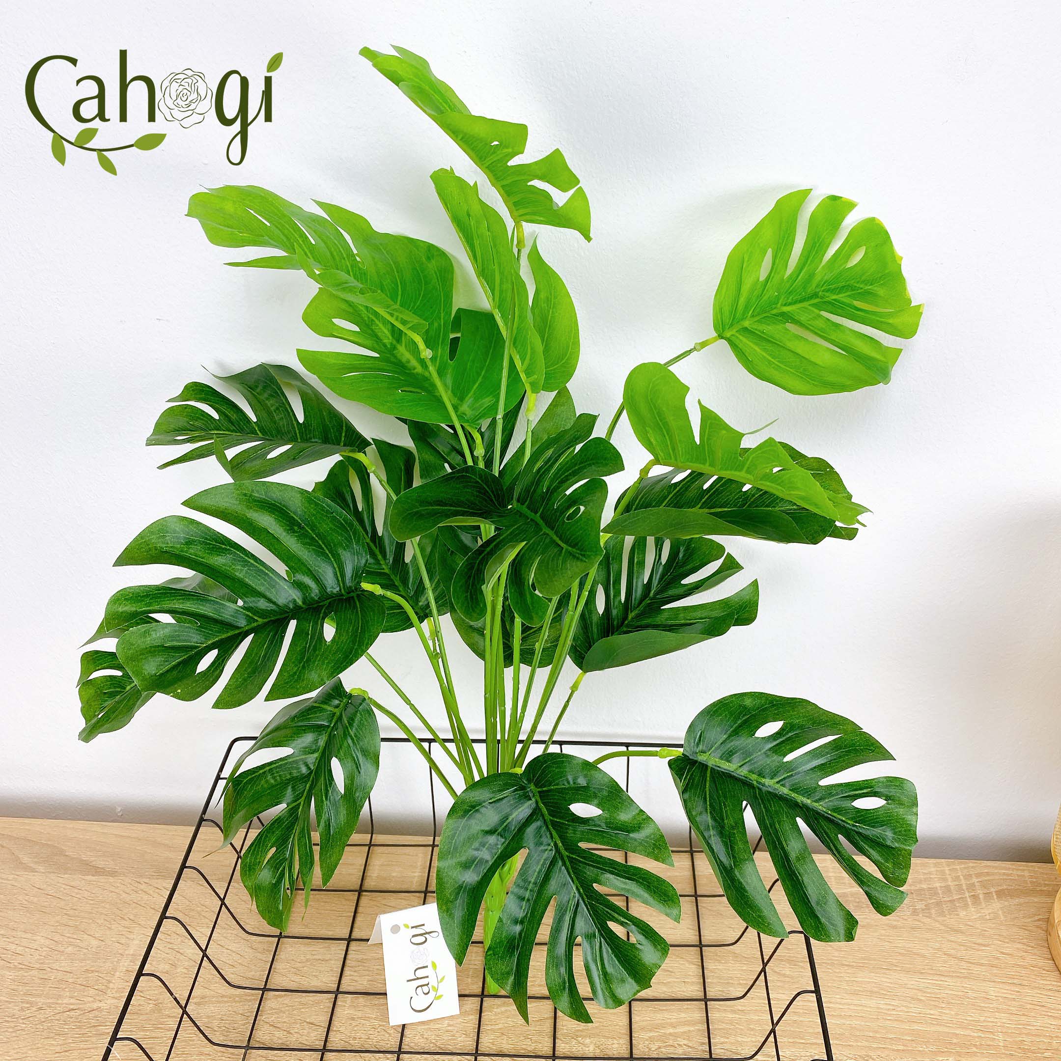 Cây nhựa PVC - Cây Lá Rùa DECOR cỡ lớn (Không Kèm Chậu)