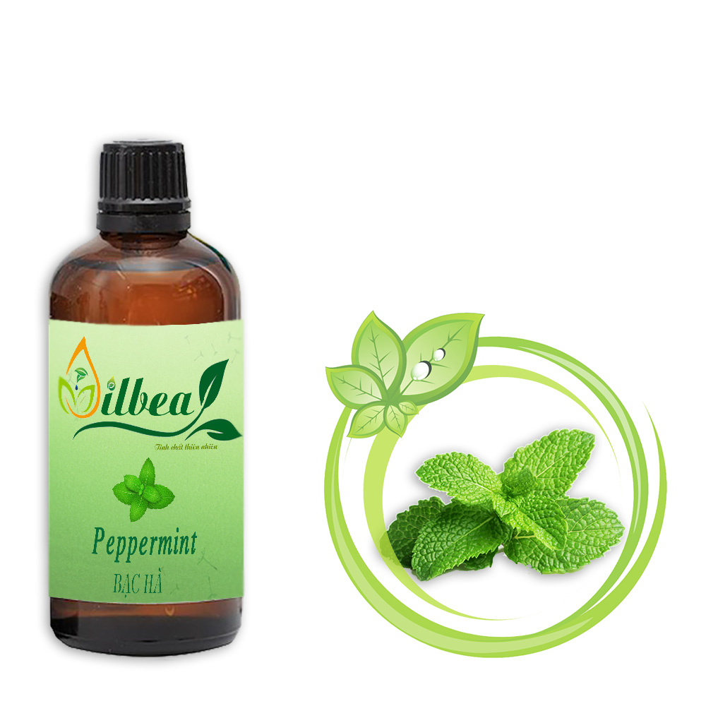 Tinh Dầu Bạc Hà 10ml 50ml 100ml