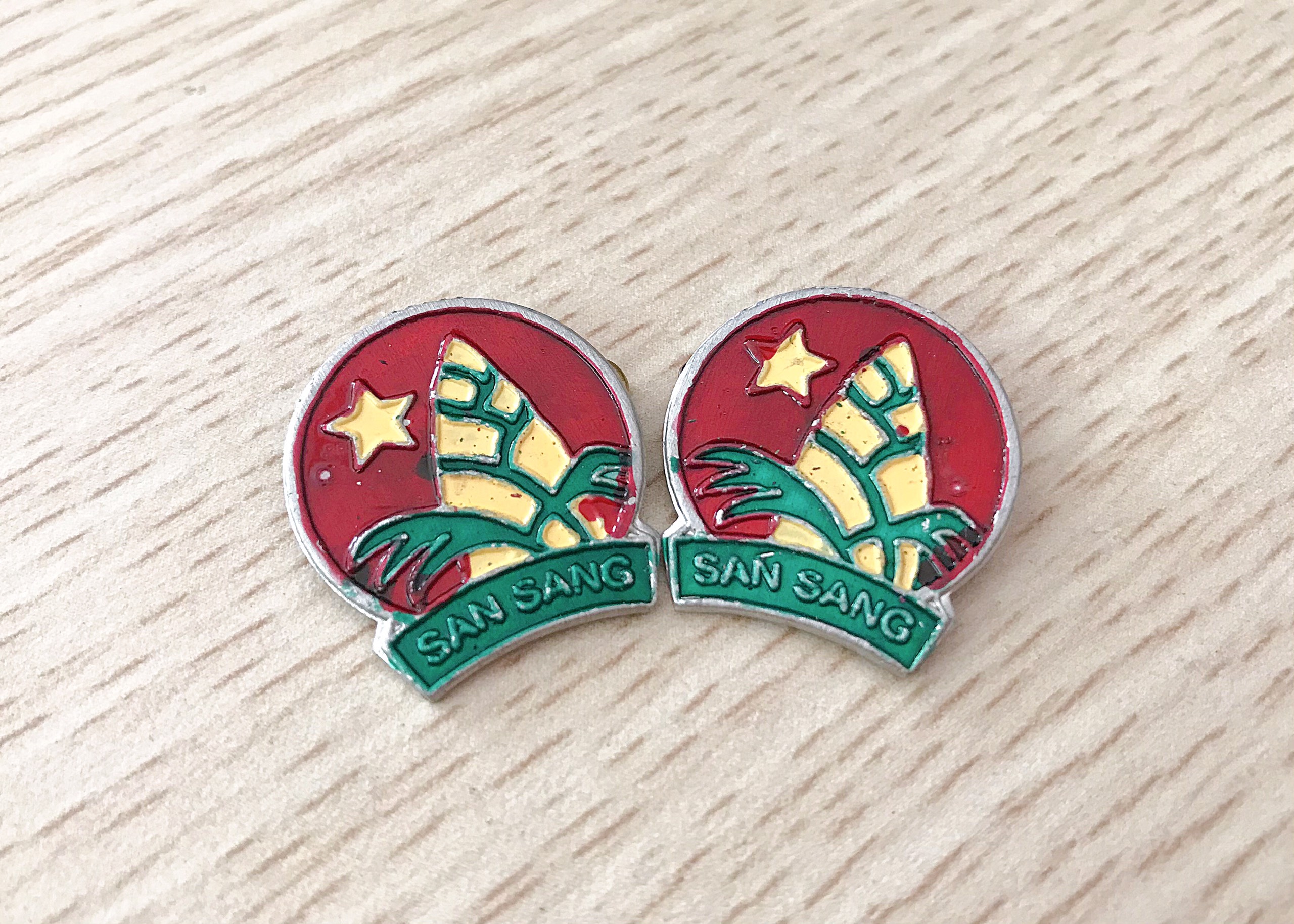 Combo 10 cái Huy hiệu đội cài áo